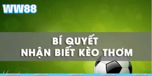 Bí Quyết Bắt Kèo Thơm WW88
