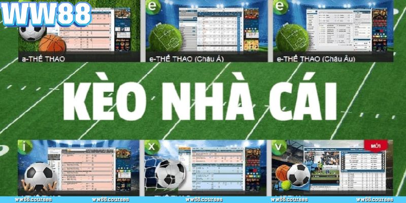 Bí quyết soi kèo nhà cái chuẩn xác cho người chơi