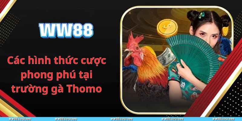 Các hình thức cược phong phú tại trường gà Thomo