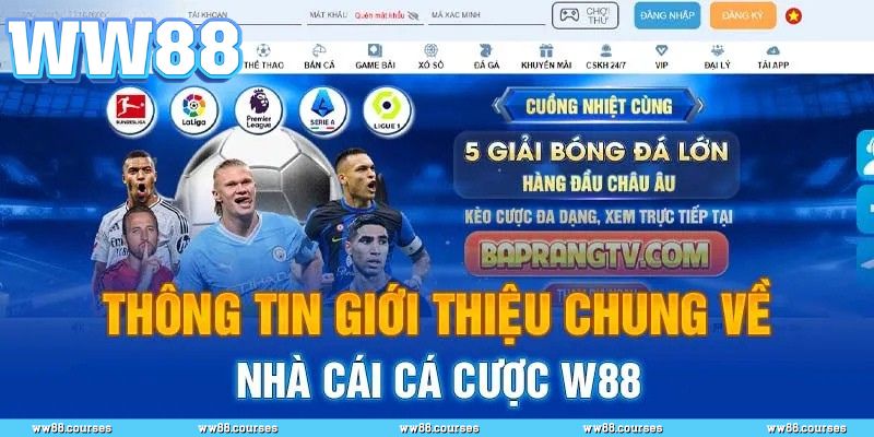 Điểm mạnh nổi bật của WW88 dành cho người chơi