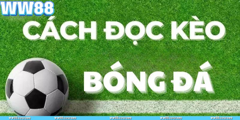 Khái quát chi tiết về soi kèo nhà cái