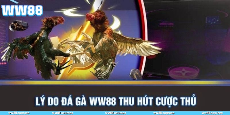 Những lợi ích nổi bật khi chọn WW88