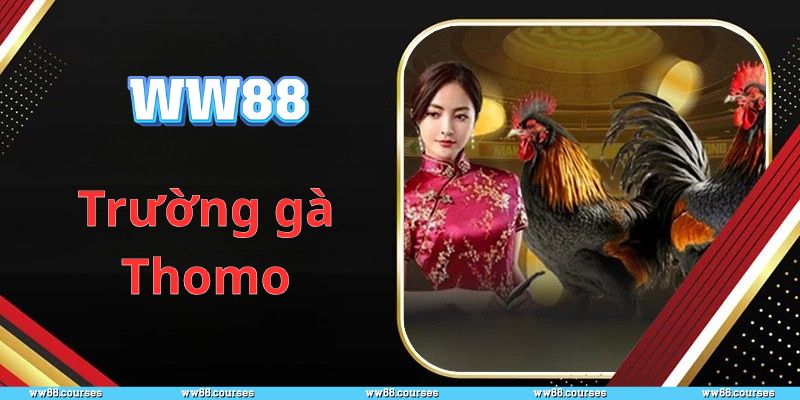 Trường gà Thomo